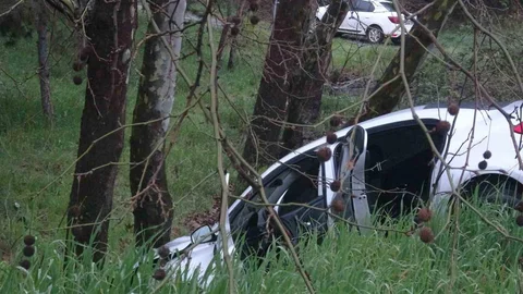 Pendik'te Araç Ağaca Çarptı