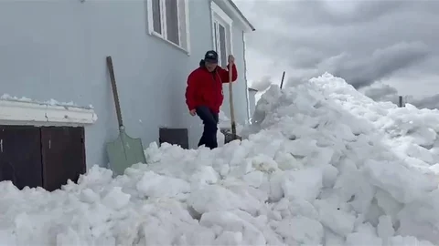 Gümüşhane'de Ayılar Pencereden Girdi