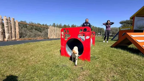 Duacı Mahallesi'nde Pati Park Açıldı
