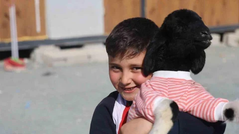 Hatay'da Kuzu Boncuk'un Sevimliliği