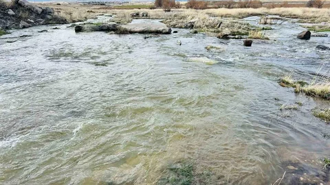Kayseri Tomarza'da Bahar Müjdesi