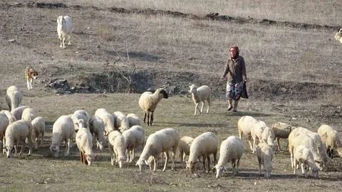 Bursa'da Bıçaklama Olayı