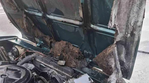 Alanya'da Otomobil Yangını