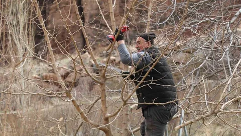 Erzurum'da Bahçe Bakım Sezonu Başladı