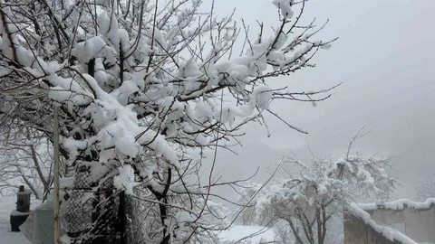 Hakkari'de 82 Yerleşim Yeri Yolu Kapandı