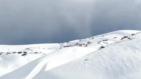 Trabzon'da Ayıların Çatıdan Girmesi