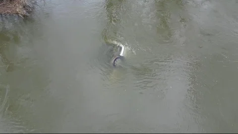 Edirne'de Taşkın Sonrası Araç Bulundu