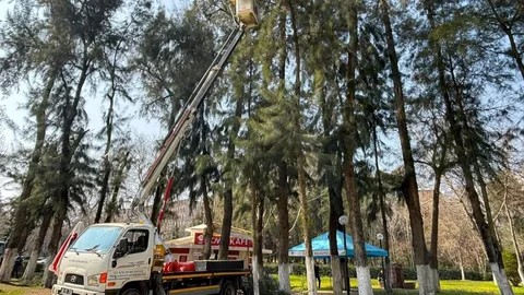 Efeler'deki Pınarbaşı Mesire Alanı Bakımda