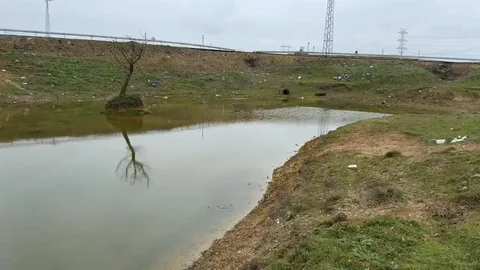 Kuruyan Gölet Yeniden Canlandı