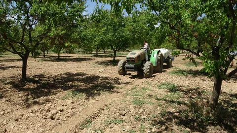 Malatya'da Kayısı Üreticilerine Uyarı