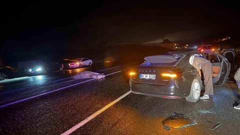 Bingöl'de Otomobil Ata Çarptı