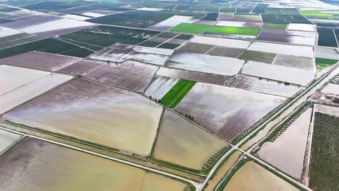 Adana'da Tarım Arazileri Sular Altında