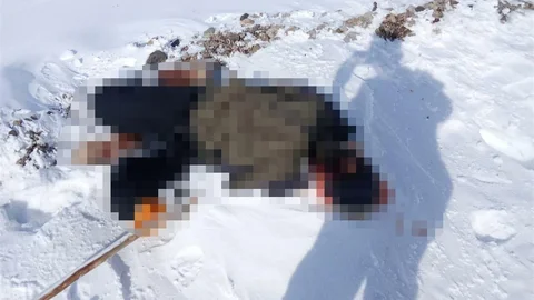 Van'da Erkek Cesedi Bulundu