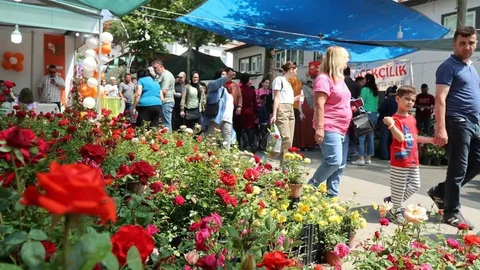 Bayındır'da Çiçek Festivali Hazırlıkları Sürüyor