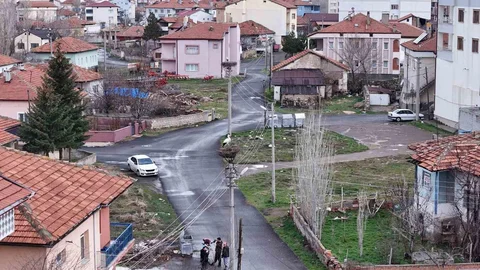 Sivas'ta Leylekler Bahar ile Döndü