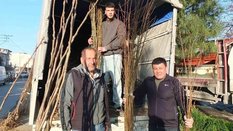 Burhaniye'de Sertifikalı Meyve Fidanları İlgi Görüyor
