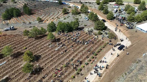 Kastamonu’da 210 Bin Fidan Dağıtılacak