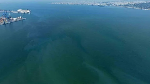 İzmir Körfezi'nde Dış Kaynaklı Kirlilik Alarmı