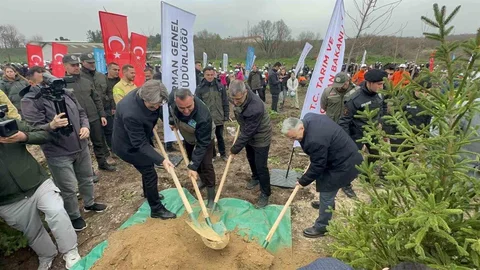 Bursa’da Orman Yangını Sonrası Ağaçlandırma Çalışması