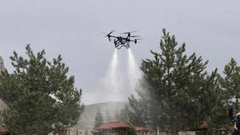 Sivas'ta Kene Mücadelesi Devam Ediyor