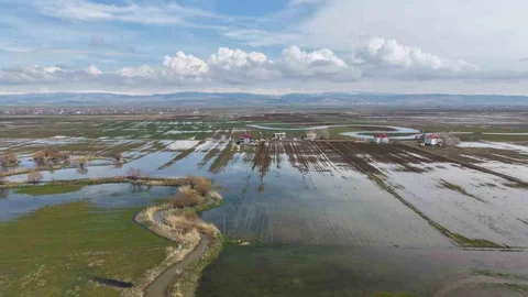 Muş Ovası'nda Su Baskınları Yaşanıyor