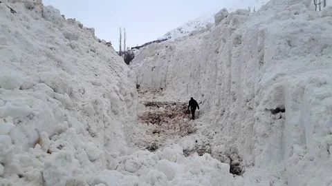 Yüksekova'da Çığ Meyve Bahçelerini Etti