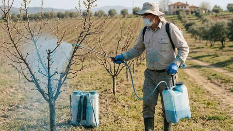 Meyve Üreticilerine Bordo Bulamacı İle İlgili Uyarı