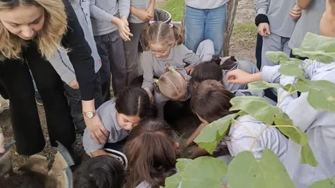 Söke'de Fidan Dikim Etkinliği