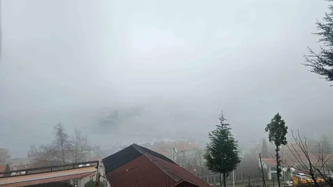 Zonguldak'ta Yoğun Sis Etkili Oldu