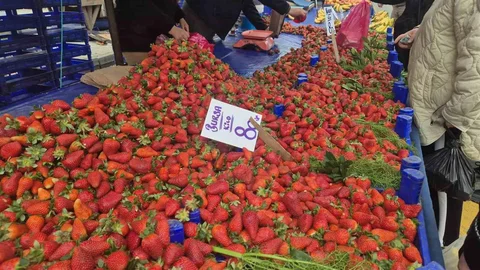 80 TL'lik Çileğe İlgi Büyük