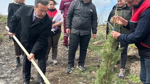 Burhaniye'de Fidan Dikimi Etkinliği