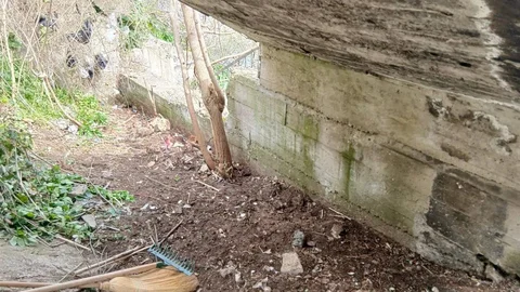 Sinop'ta Emekli Temizlik İşçisi Vefasını Gösteriyor