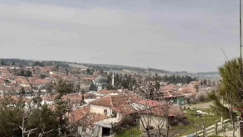 Baklan'da Deniz Yıldızı Fosili Bulundu