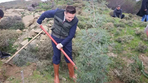 Gökçeada'da Fidan Dikimi Etkinliği
