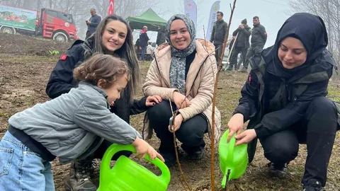 Türkeli'de Fidan Dikimi Etkinliği Düzenlendi