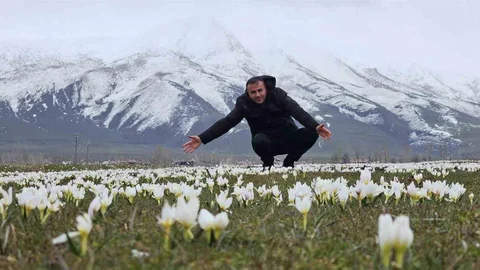 Bitlis'te Kardelenler Açtı