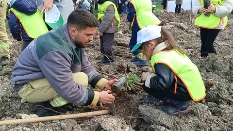 Aliağa'da Yeni Orman Fidanları Dikildi