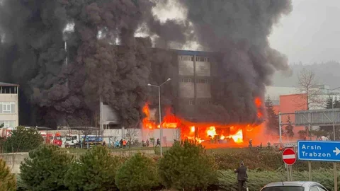 Trabzon'da Fındık Fabrikasında Yangın