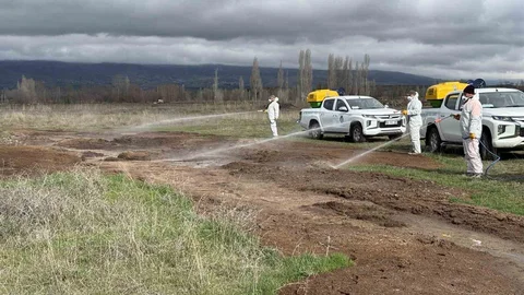Çorum'da Vektörle Mücadele Çalışmaları