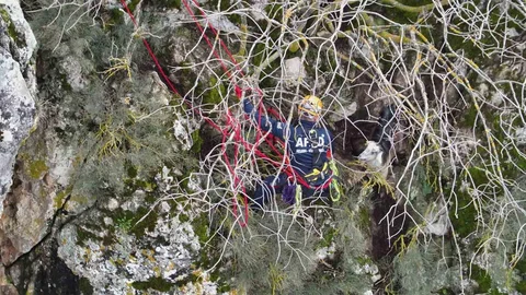 Dağda Mahsur Kalan Keçi Kurtarıldı