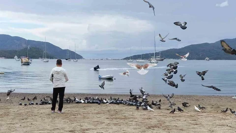 Marmaris'te Güvercinlerin Keyfi
