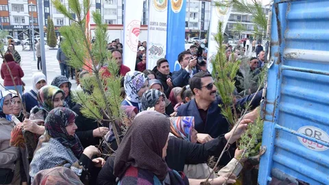 Karapınar'da Ağaçlandırma Etkinliği Yapıldı