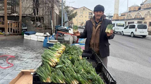 Hakkari'de İlk Pancarlar Tezgahları Süslüyor