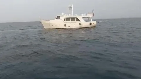 Aydın'da Düzensiz Göçmen Operasyonu