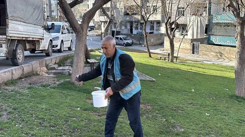Eyyübiye İçin Yeşil Alan Çalışmaları Devam Ediyor