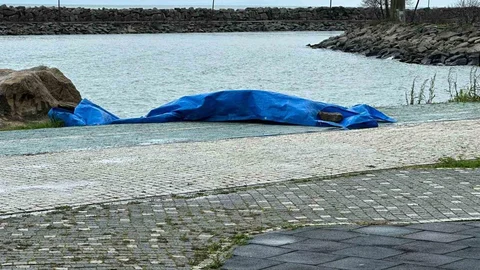 Ordu'da Sahilde Şüpheli Cisim Tespit Edildi