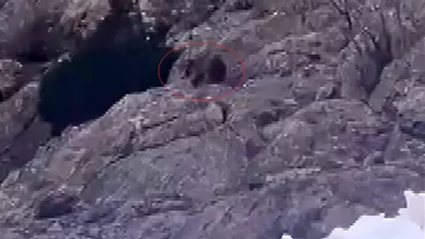 Kış Uykusundan Uyanan Ayı Şırnak'ta Yiyecek Aradı