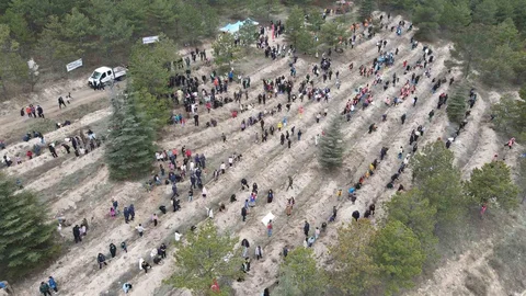 Çorum'da Fidan Dikimi Etkinliği