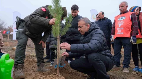 Karaman’da 6 Bin Fidan Dikildi