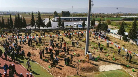 Aydın'da Orman Haftası Kutlandı